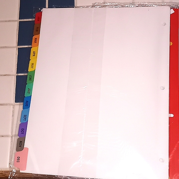 (Set of 3) 12 Month file divider full page inserts. - Picture 2 of 5